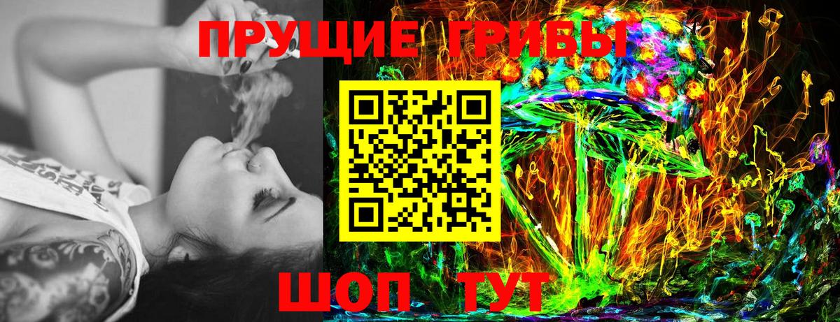 Камышлов  Псилоцибиновые грибы Cubensis  Вход с VPN 